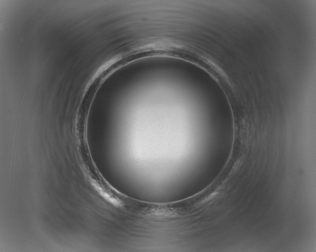 X0000079581026200612011212