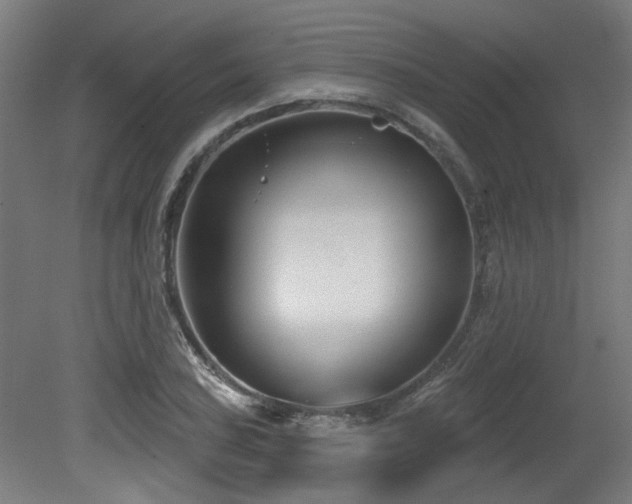 X0000079581027200612011212