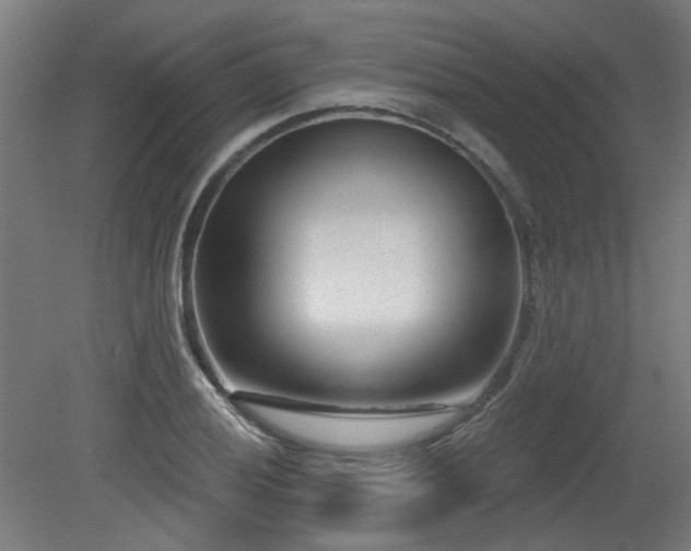 X0000079581028200612011212