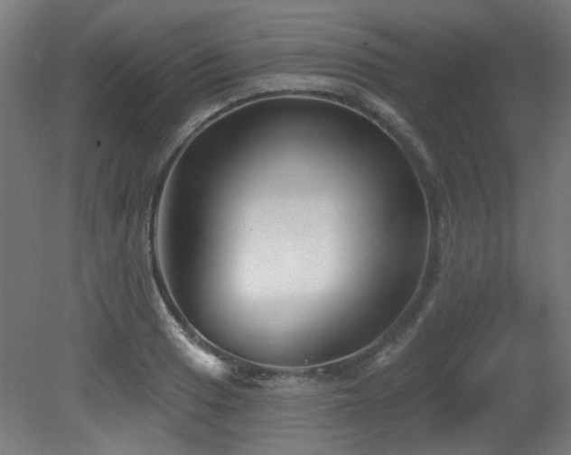 X0000079581033200612011213