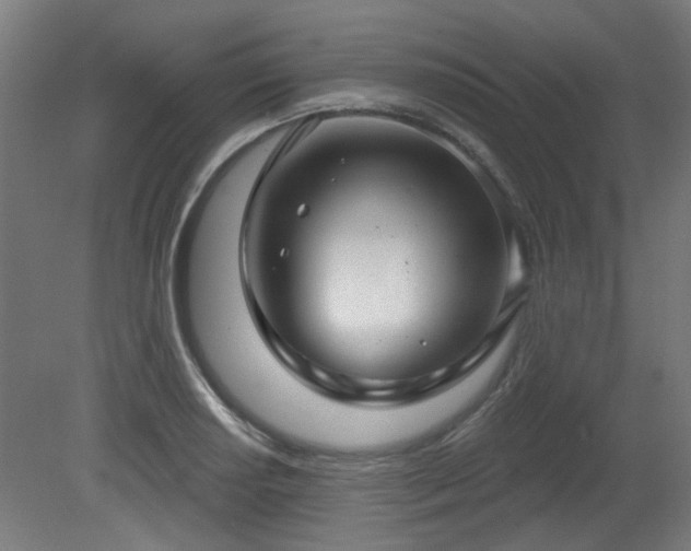 X0000079581034200612011213
