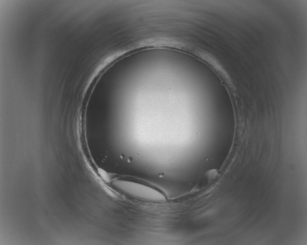 X0000079581040200612011213