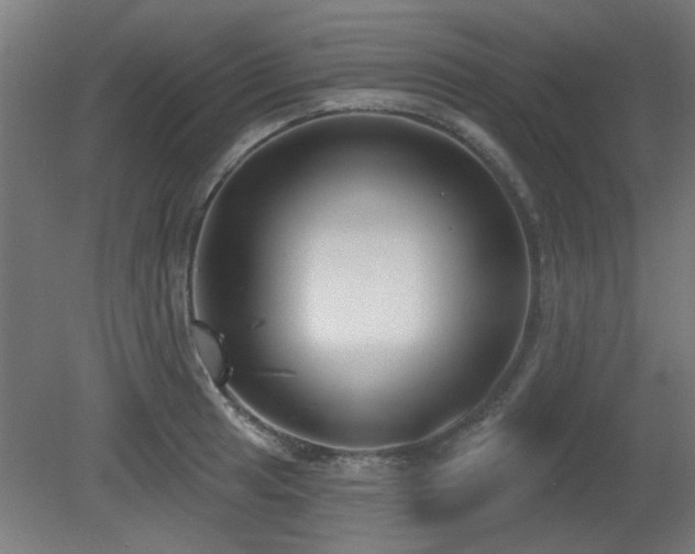 X0000079581041200612011213