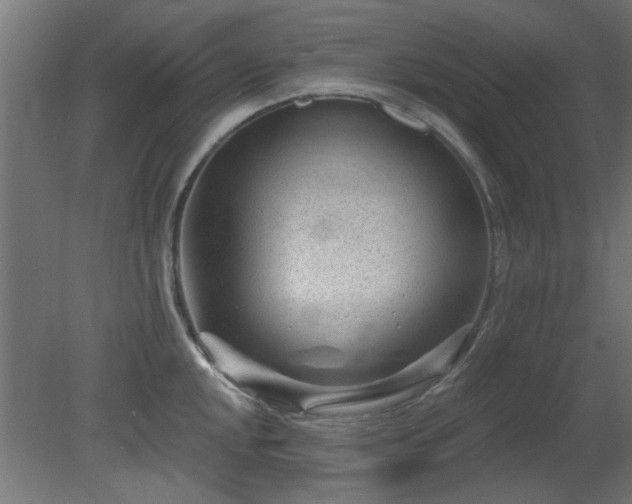 X0000079581048200612011213