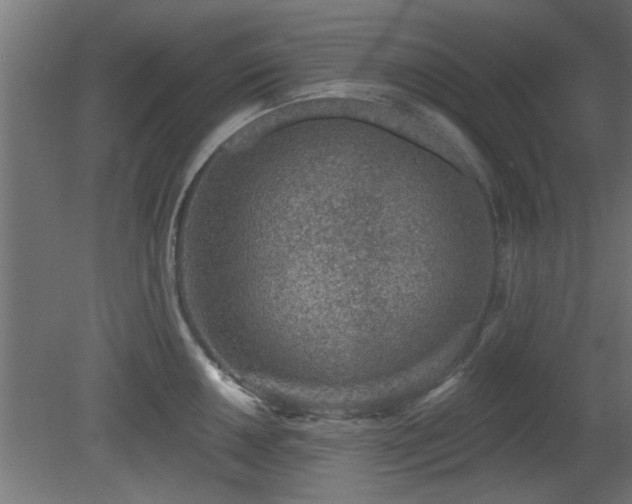X0000079581050200612011213