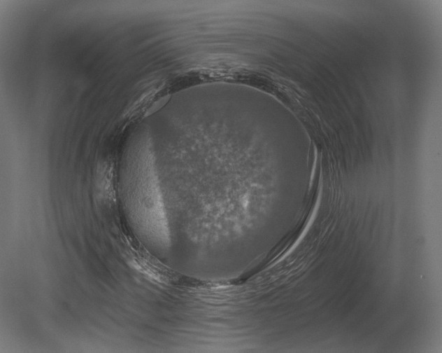X0000079581060200612011212