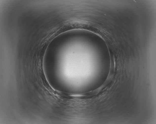 X0000079581061200612011212