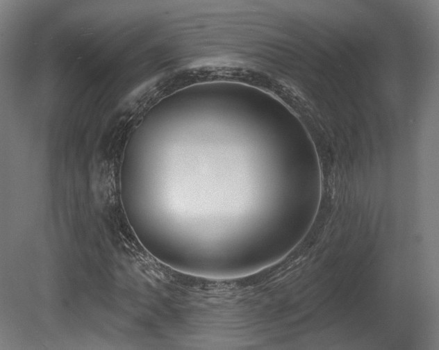 X0000079581062200612011212