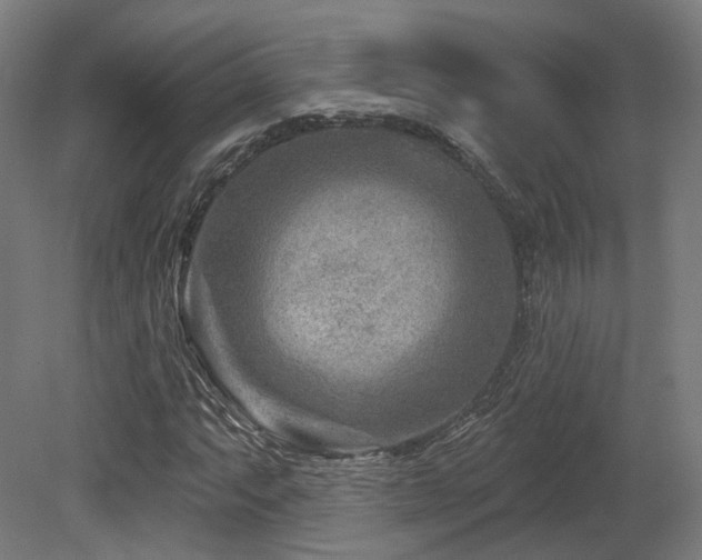 X0000079581063200612011212