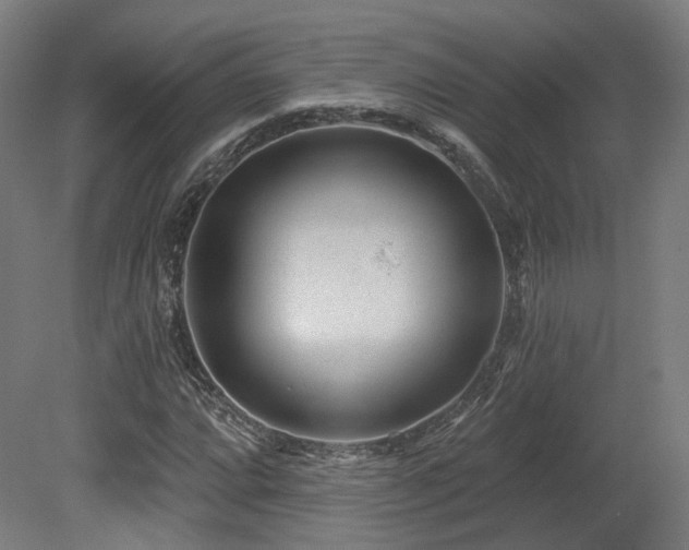X0000079581064200612011212