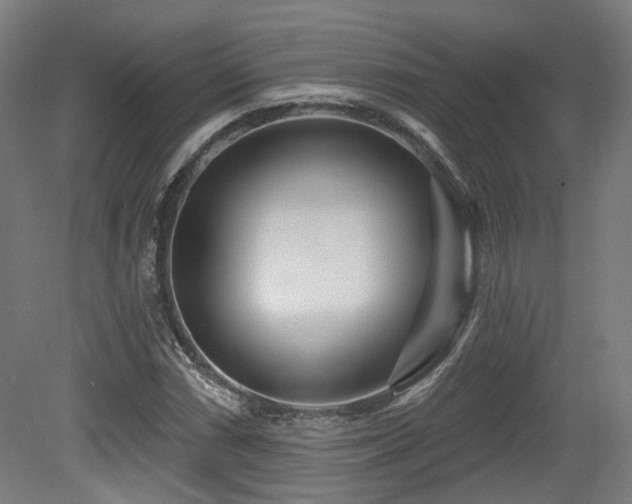 X0000079581066200612011212