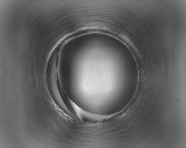 X0000079581068200612011212
