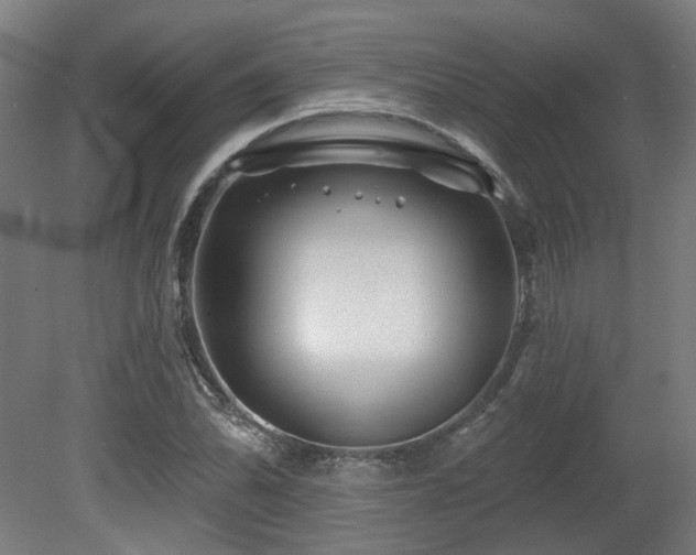 X0000079581070200612011212