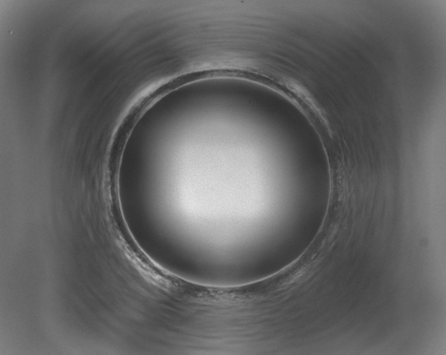 X0000079581072200612011212