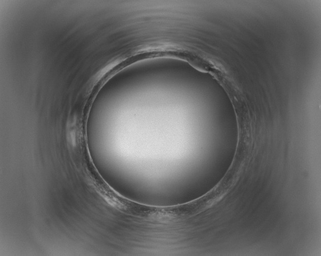 X0000079581073200612011212
