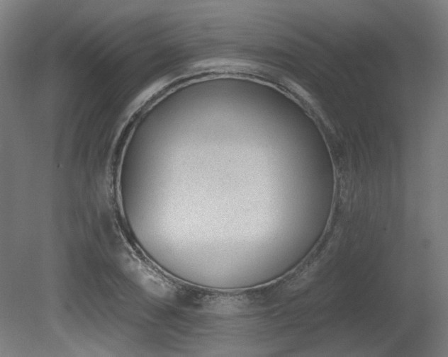X0000079581074200612011212