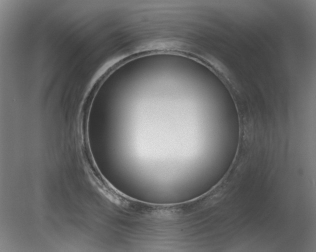 X0000079581078200612011212