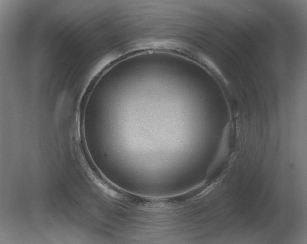 X0000079581079200612011212