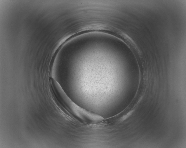 X0000079581081200612011212