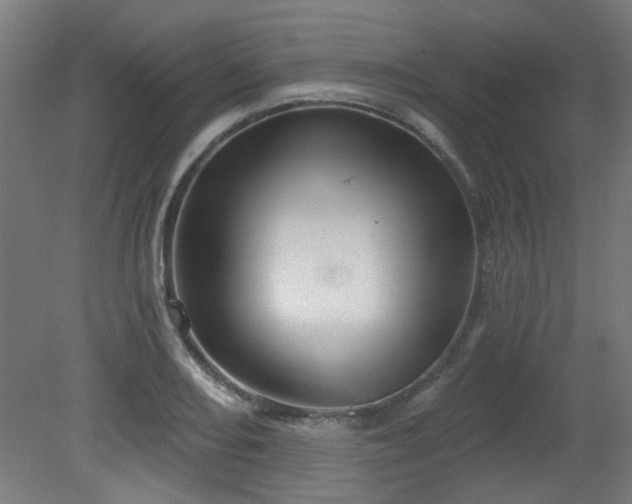 X0000079581082200612011212