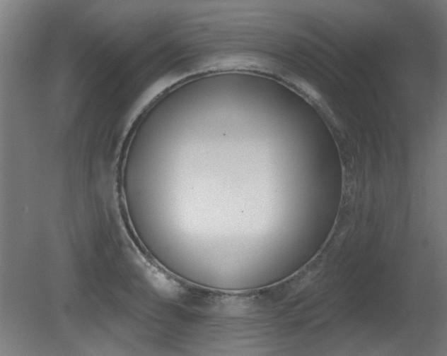 X0000079581086200612011212