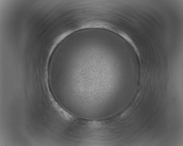 X0000079581088200612011212