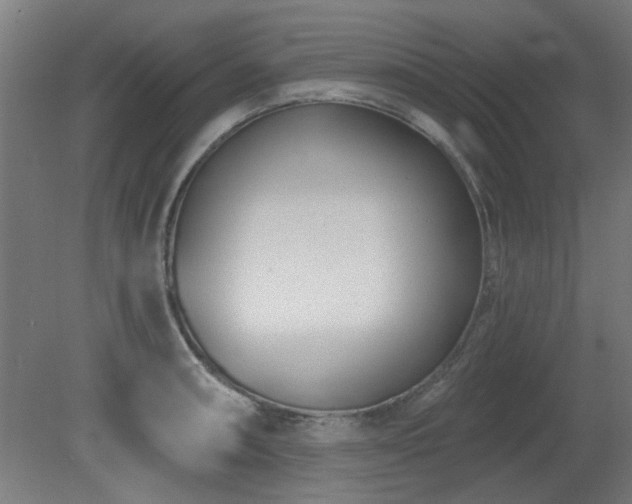 X0000079581090200612011212