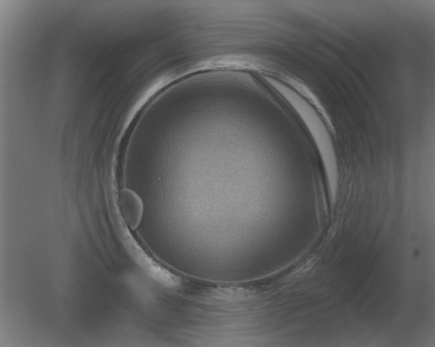 X0000079581091200612011212