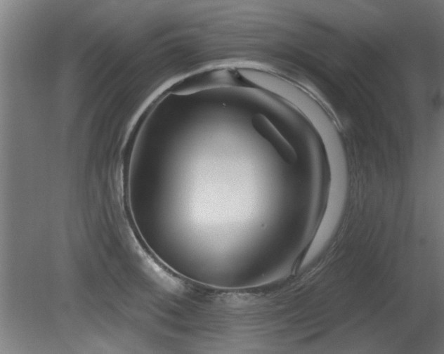 X0000079581092200612011212