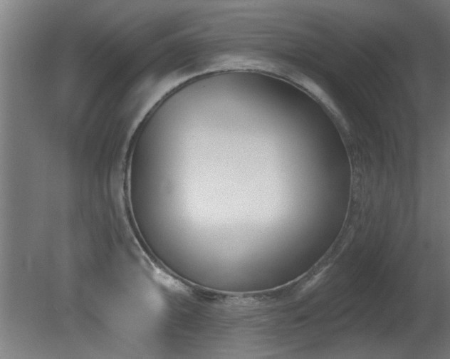 X0000079581094200612011211