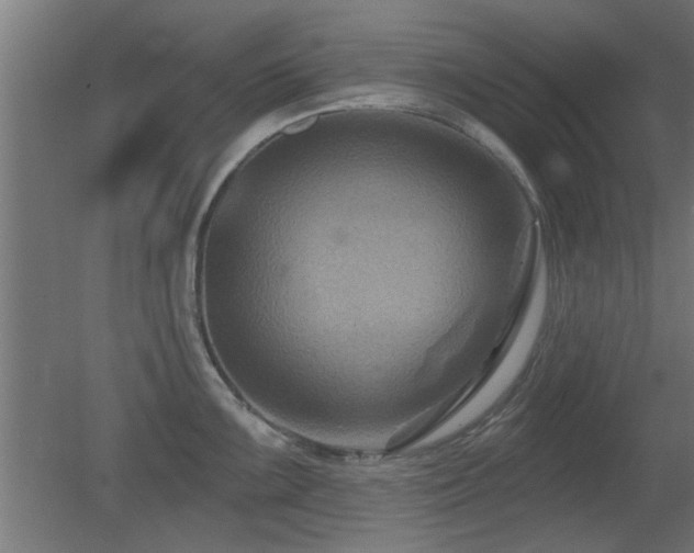 X0000079581099200612011211