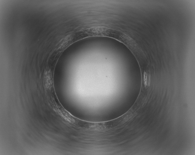 X0000079581107200612011211