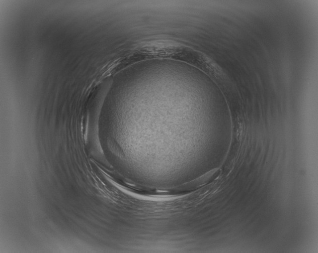 X0000079581108200612011211