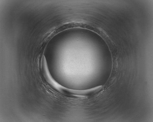 X0000079581110200612011211