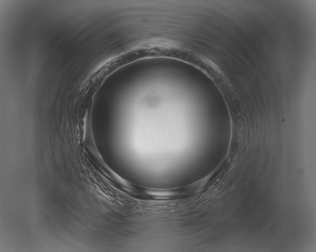 X0000079581112200612011211