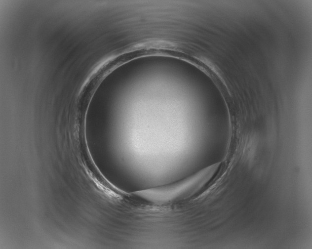 X0000079581115200612011211