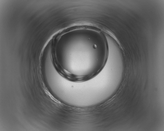 X0000079581116200612011211
