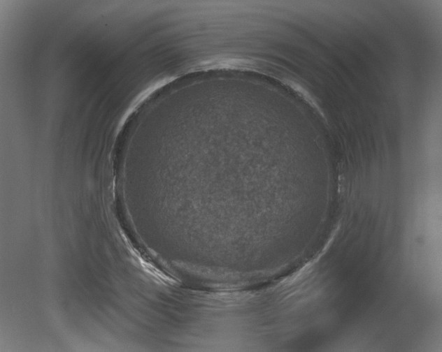 X0000079581117200612011211