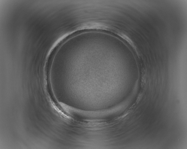 X0000079581120200612011211