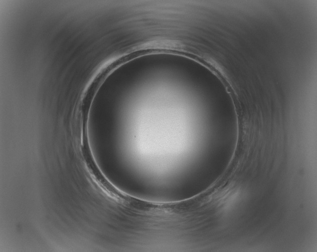 X0000079581123200612011211