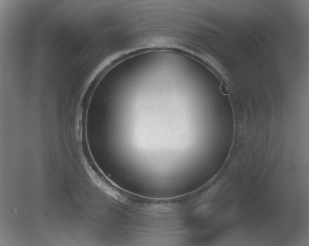 X0000079581126200612011211