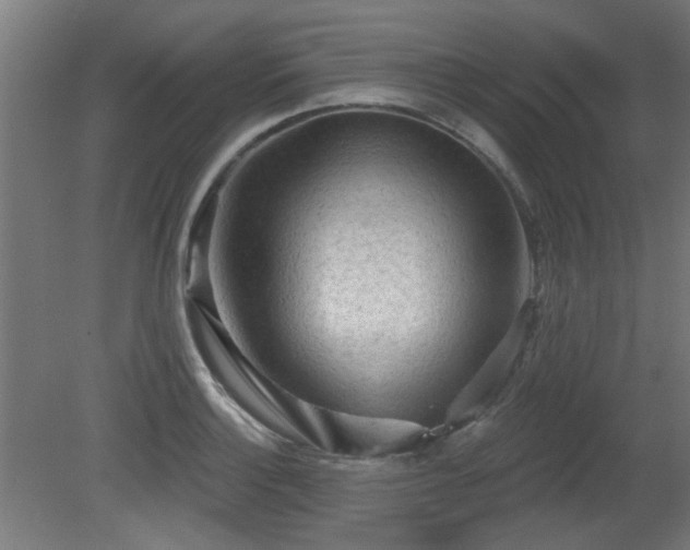 X0000079581132200612011211