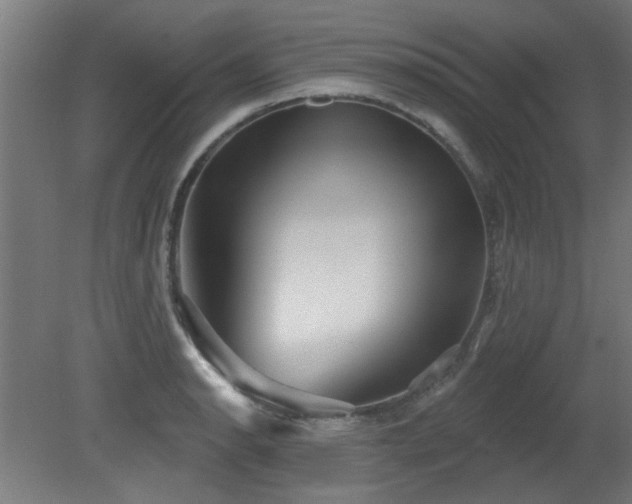 X0000079581134200612011211
