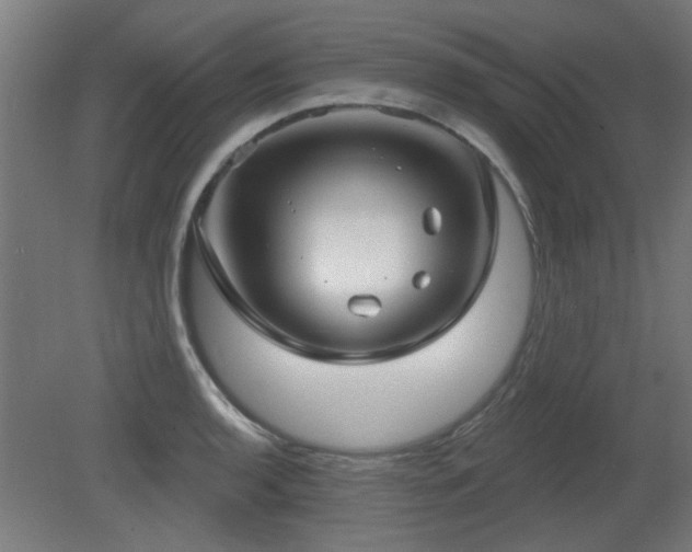 X0000079581136200612011211