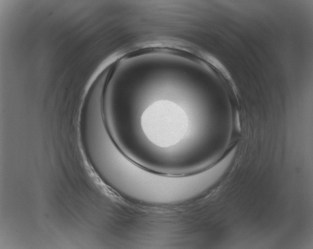X0000079581138200612011211