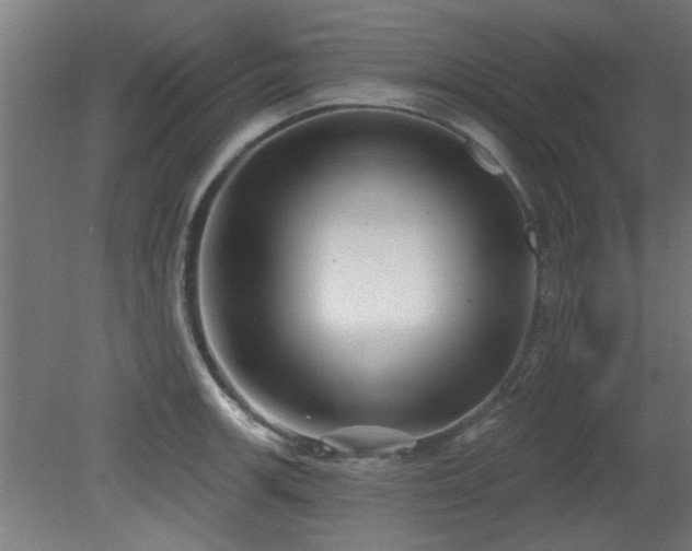 X0000079581139200612011211