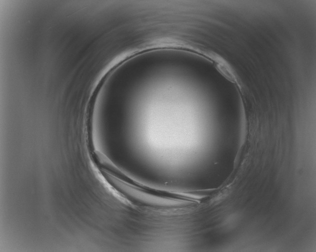 X0000079581142200612011211