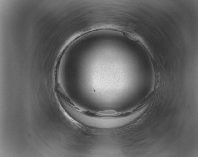 X0000079581151200612011211