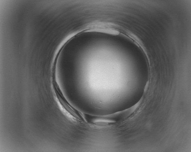 X0000079581152200612011211
