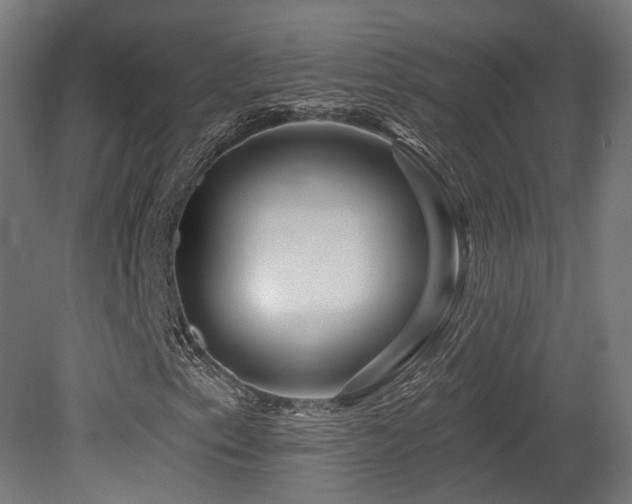 X0000079581153200612011211
